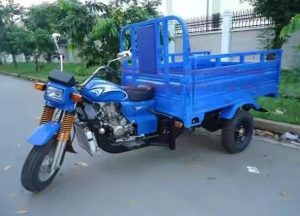 ba-gac-cho-hang-o-quan-11 ba-gac-cho-hang-o-quan-11